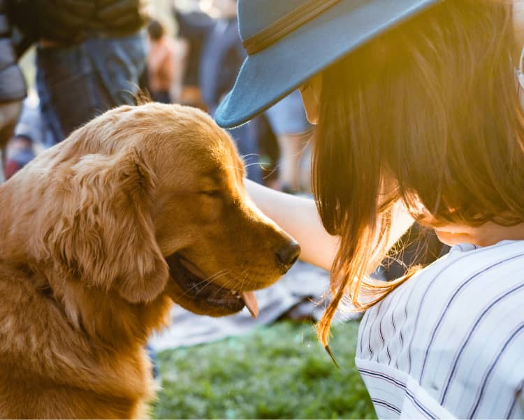 Auf dem Bild sieht man eine Frau und einen Hund, die sich glücklich ansehen – ein Moment, der das Ziel der See Dogs Hundeschule widerspiegelt.